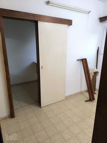 שלושת הברושים 4