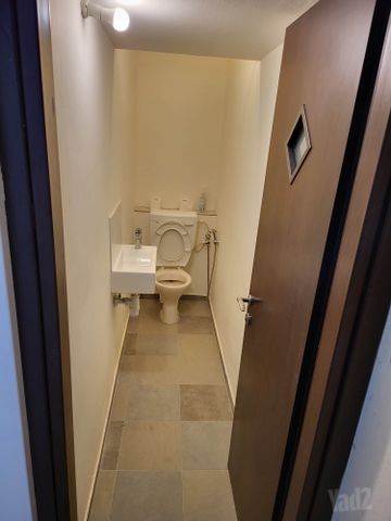 יחיאל מיכל פינס 36