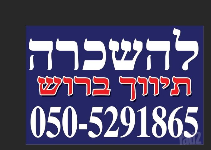 לוחמי הגטאות 