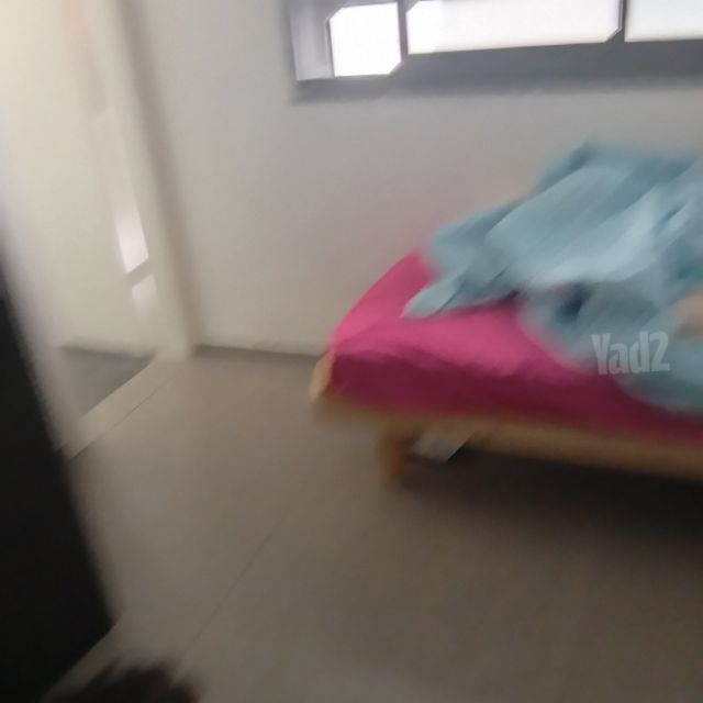 קריניצי 101