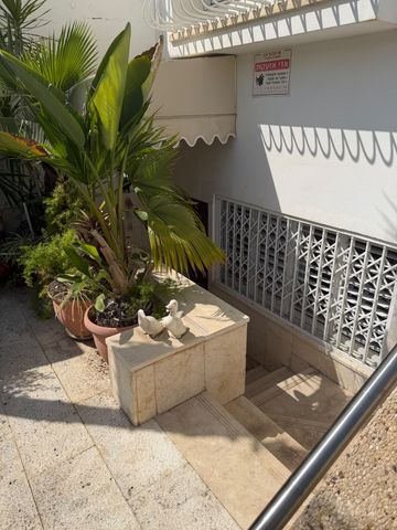 מנחם סבידור 19