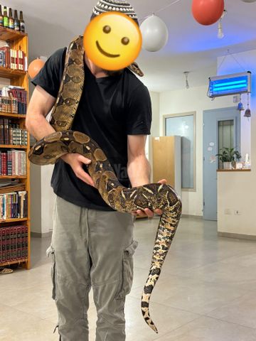 תמונת מודעה - חיות מחמד