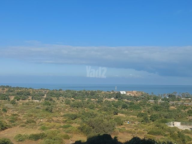 שדרות דוד בן גוריון 7