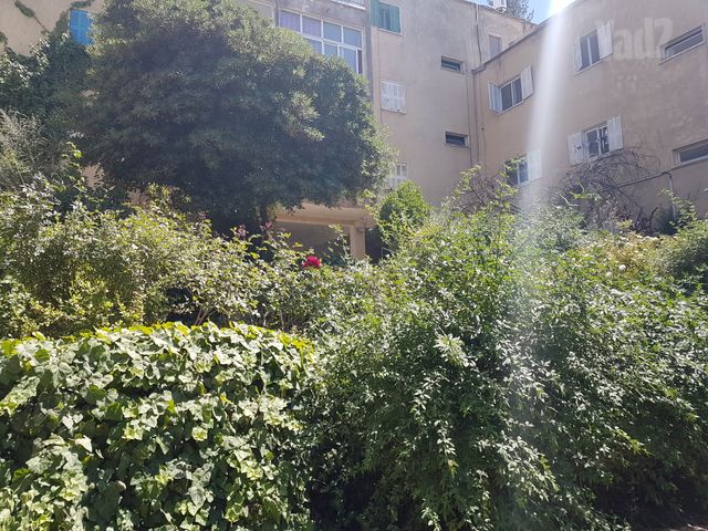 דירה להשכרה בירושלים — 5