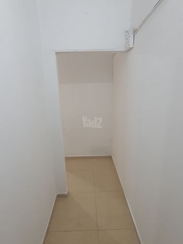 דיזנגוף 292