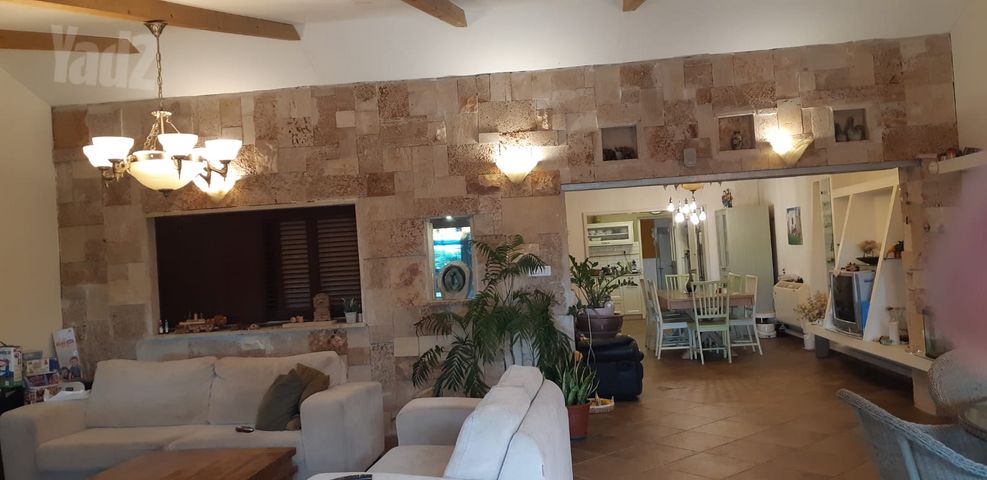 הארגמן 42