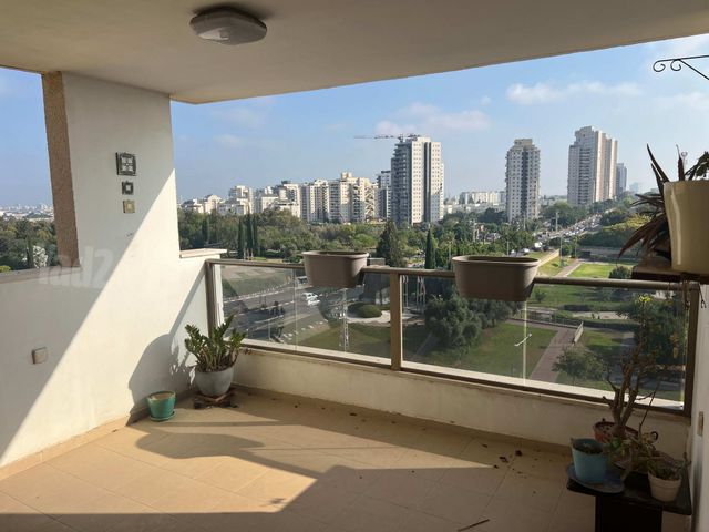 הנרקיס 10