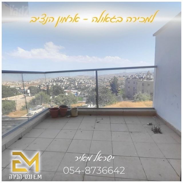 אבו רביע 