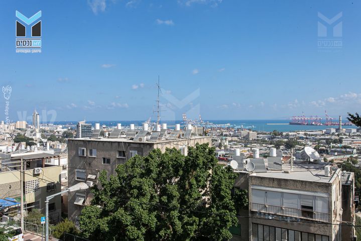 דוד רזיאל 