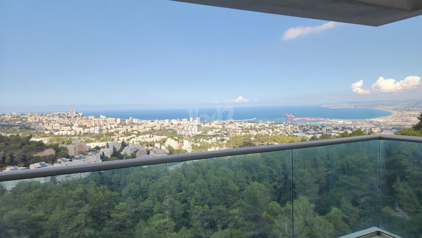 התאנה 