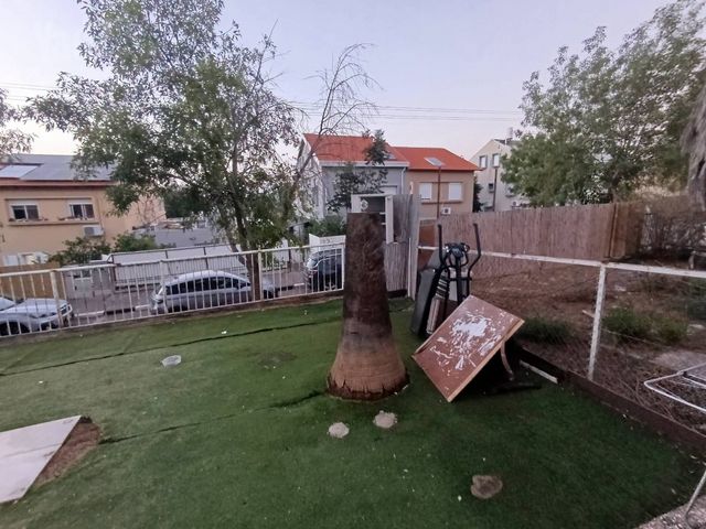 שלמה המלך 