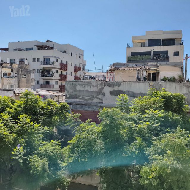נווה שאנן 37