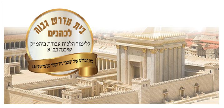 הדף היומי 7