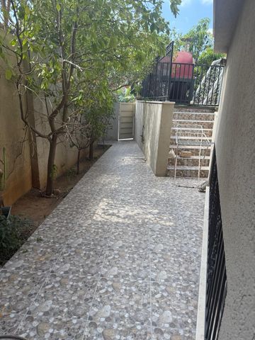 סנונית 38
