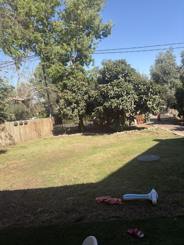דרך הראשונים 12