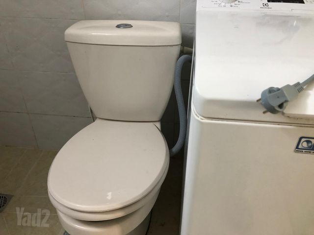 איסלנד 38