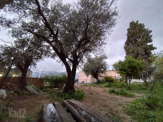 יצחק אמיתי (ט"ו) 1