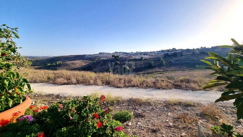 גבעת אלונים