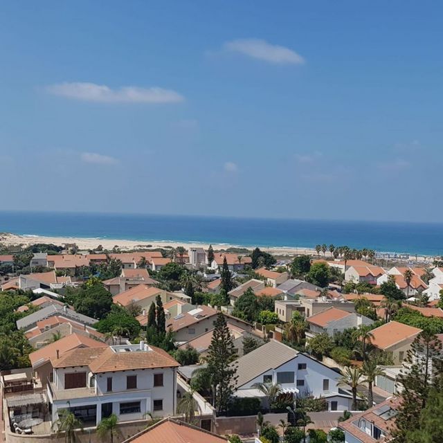 הלילך 