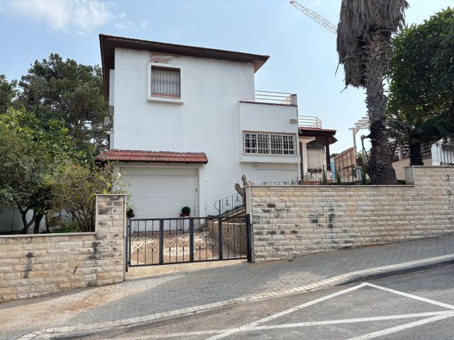 דקל 