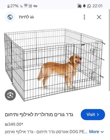 תמונת מודעה - חיות מחמד