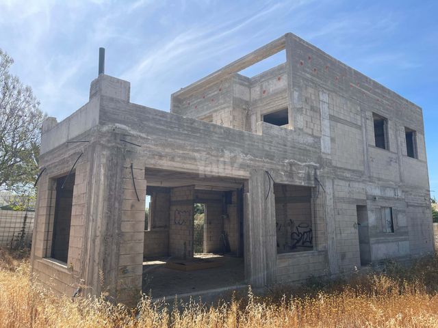 נורית 13
