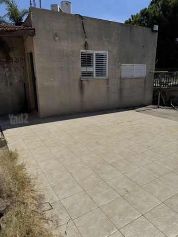 דוד המלך 17