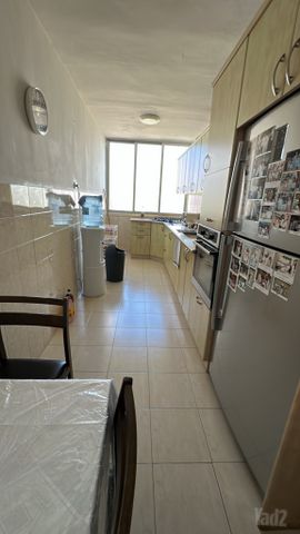 שמחה הולצברג 10