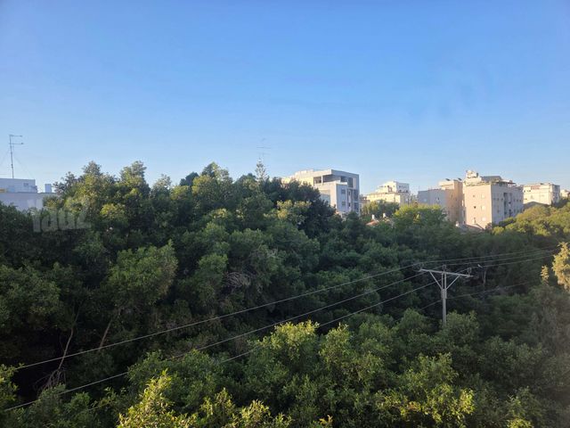 יעקב 38