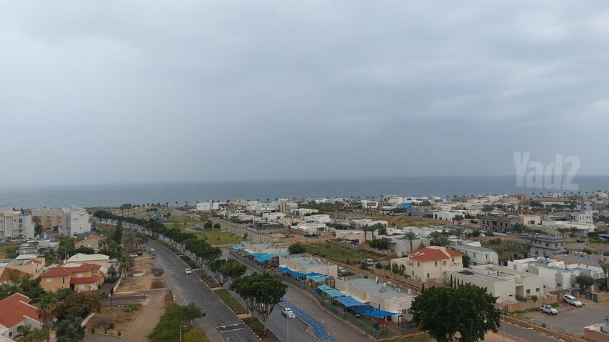 נווה אלונים