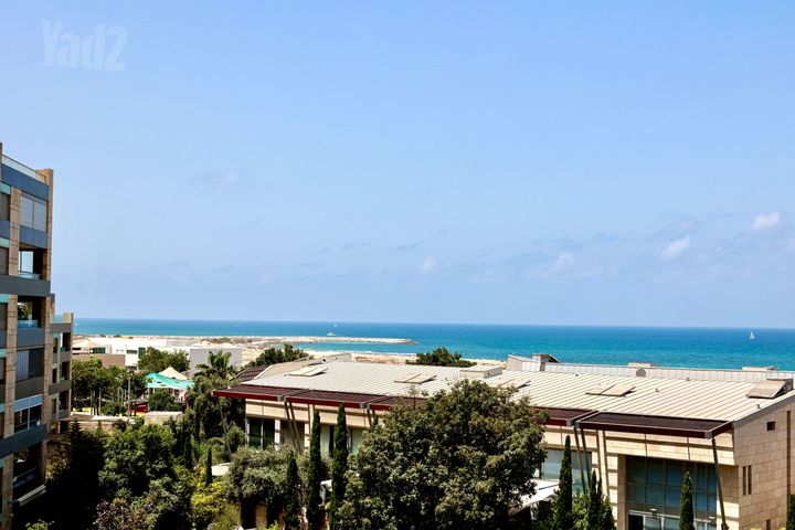 אמיר גלבוע 