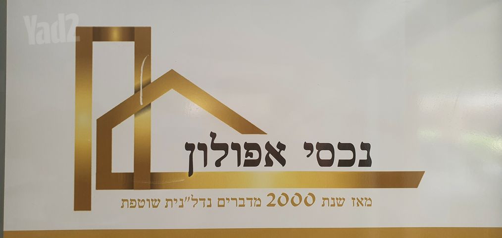 דירה, אברמוביץ', ראשון לציון