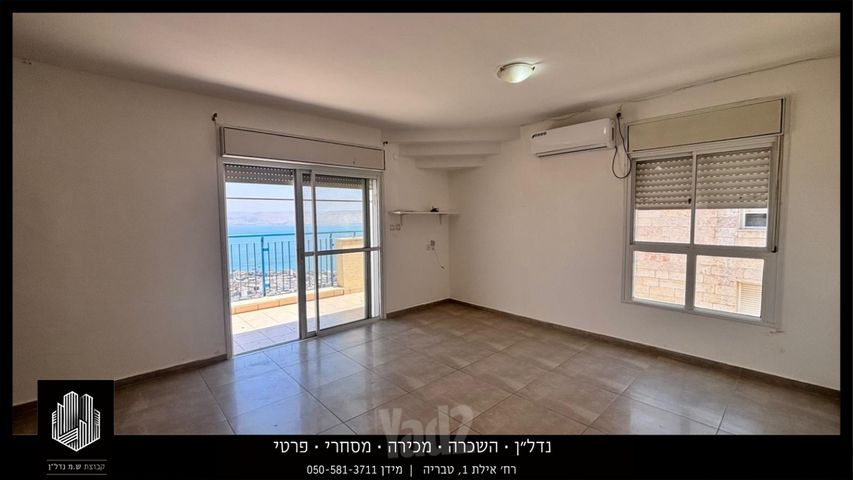 הדקל 