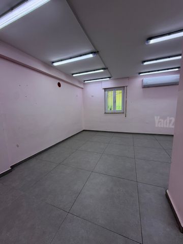 אפרסמון 13