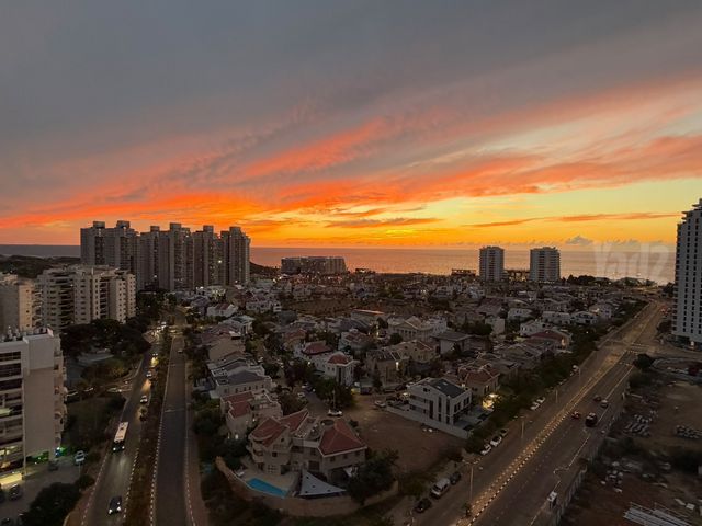 הפריגטה 
