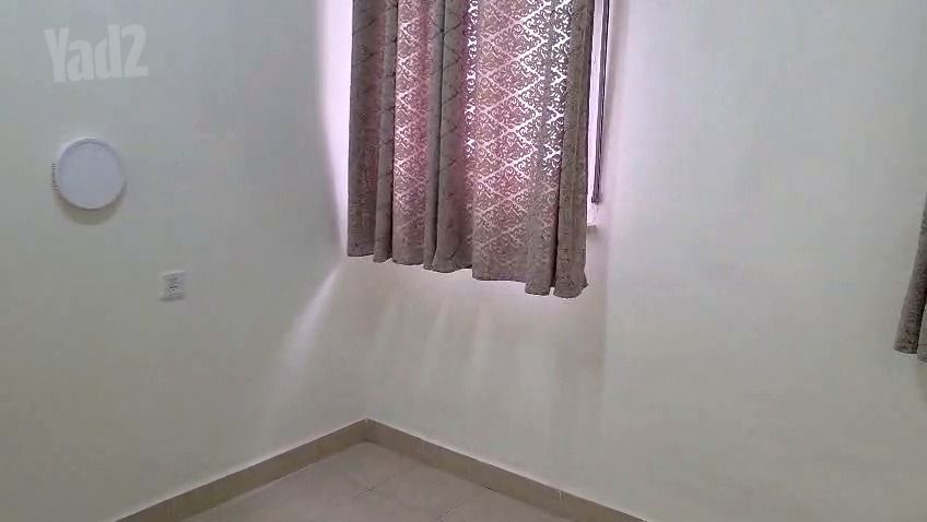 עץ חיים 2
