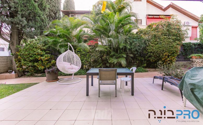 דוד ילין 