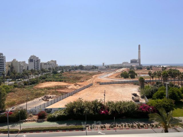 בראלי 