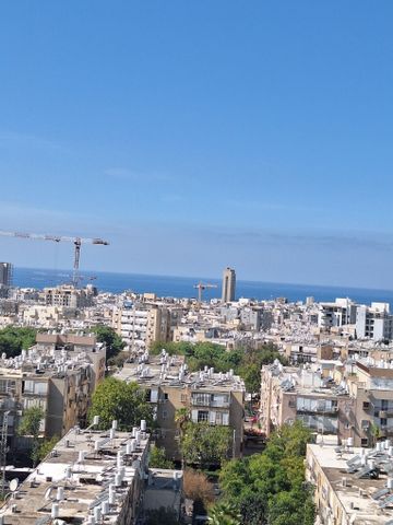שאול הדדי 14