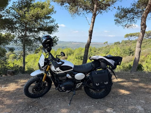 מודעת רכב טריומף Scrambler XC