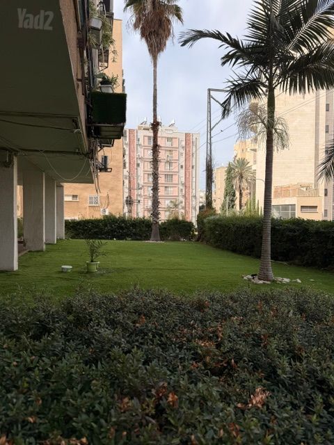 אברהם שפירא 