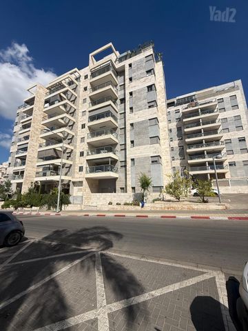 משה בריל 26
