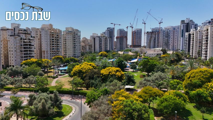 יוני נתניהו 