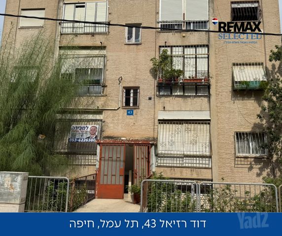 דוד רזיאל 43
