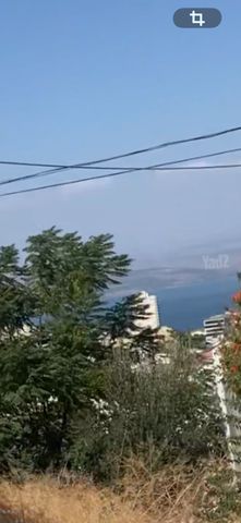 השעורה 