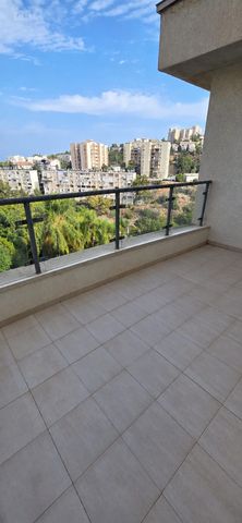 הדולב 