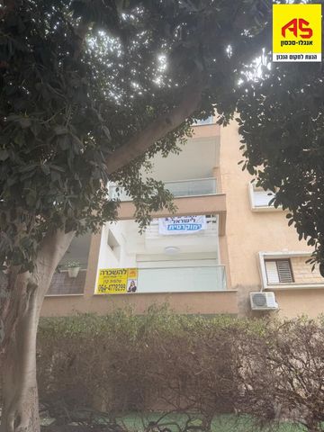 סולץ 