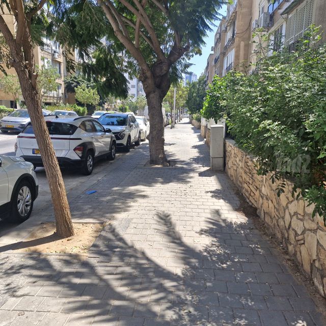 הנביאים 