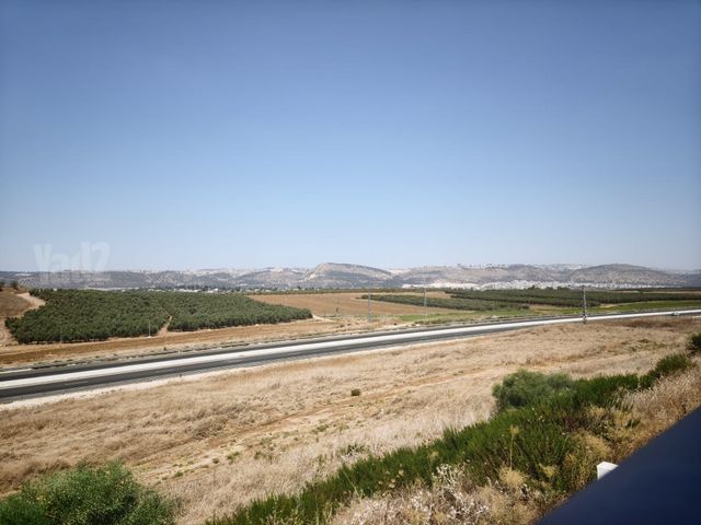 פרדה יזדאו אקלום 