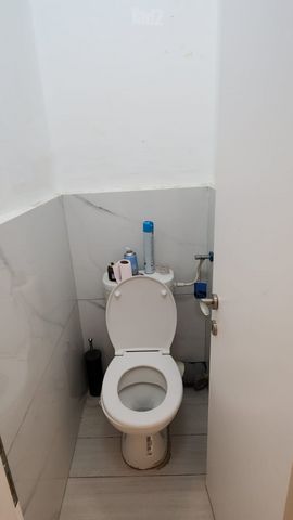 זבולון 7